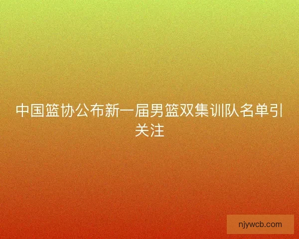 中国篮协公布新一届男篮双集训队名单引关注